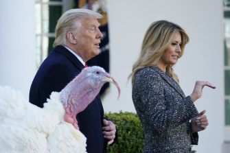 Donald and Melania Trump walk away after the US President pardoned two Thanksgiving turkeys on Tuesday.