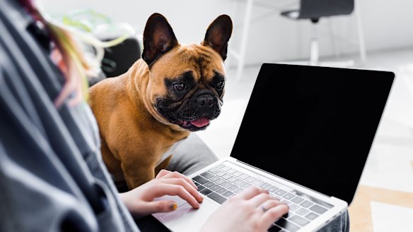 A surge in people wanting to work from home, and leaving our cities for regional areas, means our infrastructure needs have changed sharply.