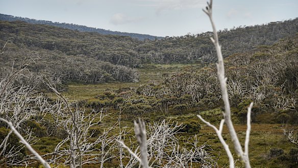 A view of the valley below Mount Gingera in Namadgi National Park.