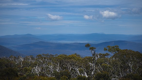 A view of Tantangera, NSW where wild horses have an established population in the thousands.