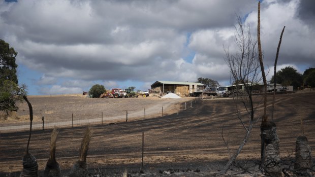 Authorities are working to determine the damage caused by the Wooroloo bushfire. 
