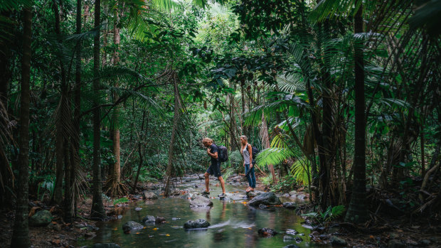 A jobs-boosting investment package announced by the federal government will upgrade tourism facilities in Work Heritage Areas including the Queensland Wet Tropics in the Daintree Rainforest. 