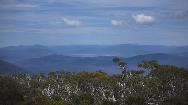 A view of Tantangera, NSW where wild horses have an established population in the thousands.