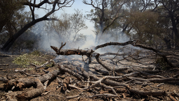 The Yanchep fire zone. 