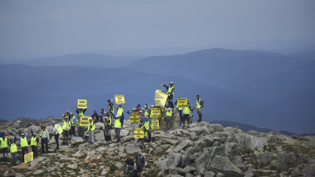 A group of protesters from Save Kosci reach the top of Mount Kosciuszko on Saturday, December 8 to protest against wild horses in the park.