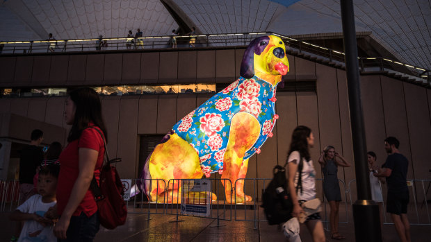 A dog lantern at Sydney's Lunar New Year celebrations.