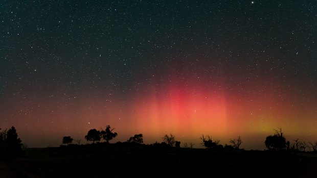 Aurora Australis captured last month over a small ridge lined with beautiful snow gums.