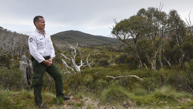 ACT parks manager Brett McNamara stands overlooking the valley below Mount Gingera in Namadgi National Park.