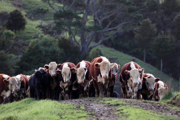 Bendigo Bank is heavily exposed to agriculture – a sector that is one of the heaviest greenhouse gas emitters.