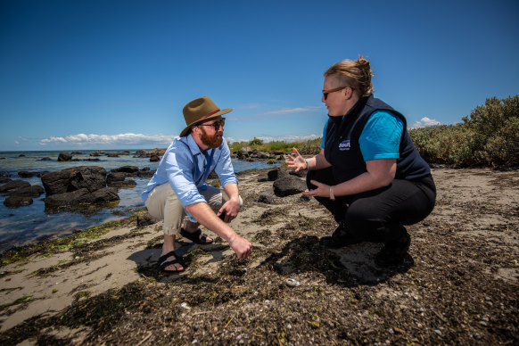 Reporter Liam Mannix beachcombs with marine expert Jacinta Early at Jawbone Marine Sanctuary.