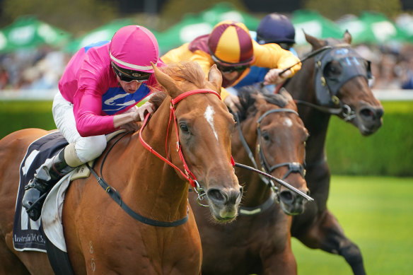  Superium, pictured winning at Randwick in December, is the top selection in race 7.
