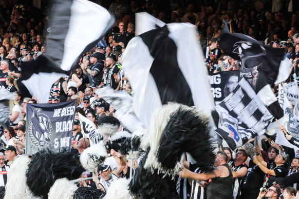 The Collingwood cheer squad at home in the Ponsford Stand.