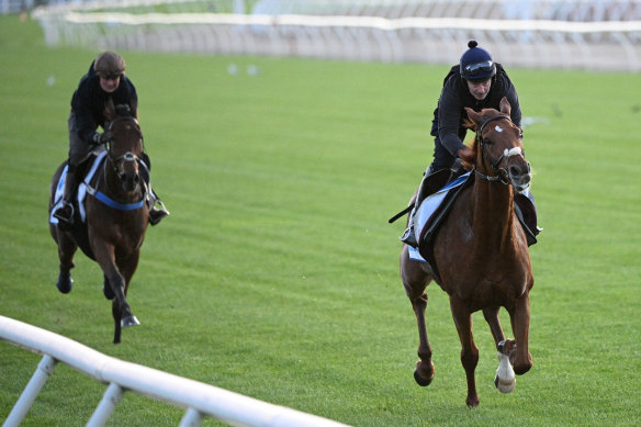 Vauban (right) and Absurde (left) worked at Flemington on Tuesday.
