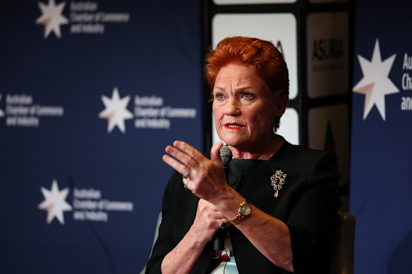 One Nation leader Pauline Hanson.