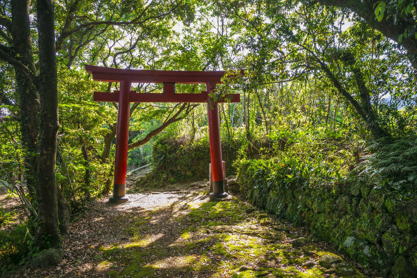 紀伊半島、熊野古都参詣道。