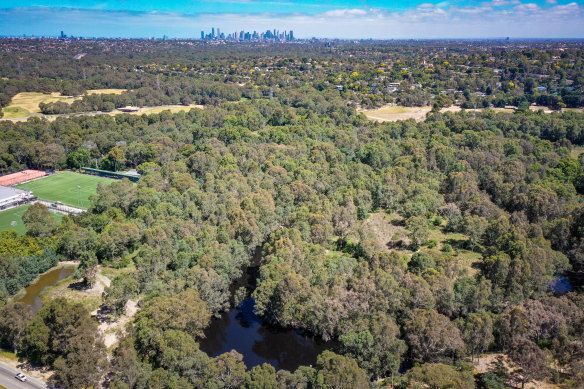 The billabong lies around 13 kilometres north-east of Melbourne CBD.