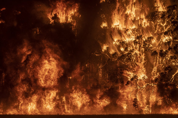 A backburn in the Grose Valley which lost control and joined with the Gospers Mountain fire in December, 2019.