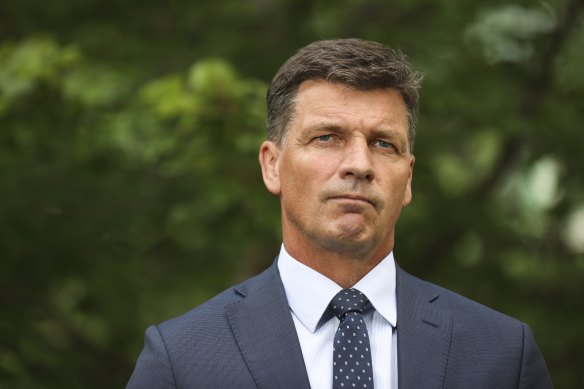 Angus Taylor is leading the race to be named shadow treasurer under Peter Dutton.