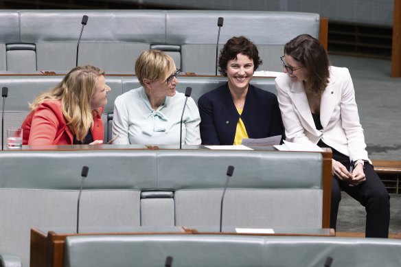 Independent MPs (from left) Kylea Tink, Zoe Daniel, Kate Chaney and Allegra Spender on the crossbenches.