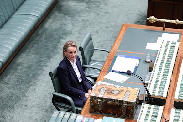 Former opposition leader Sussan Ley. 