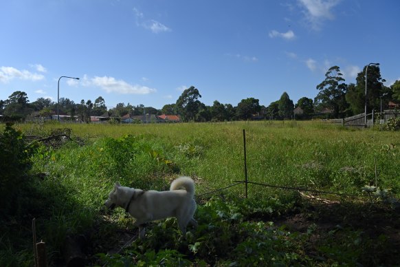 The 1.9 hectares of land sold by the Department of Defence today - 18 years after it was sold. 