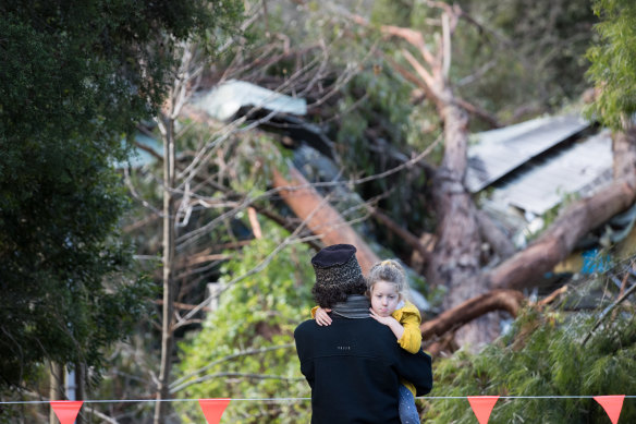Six-year-old Mirrah looks at the damage after three huge trees landed on the roof of the Monbulk Aquatic Centre.