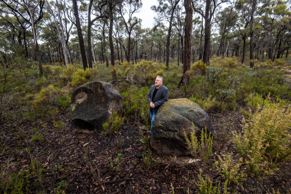 Dja Dja Wurrung Clans Aboriginal Corporation chief executive Rodney Carter welcomed the plan to use more Indigenous languages in place names. 