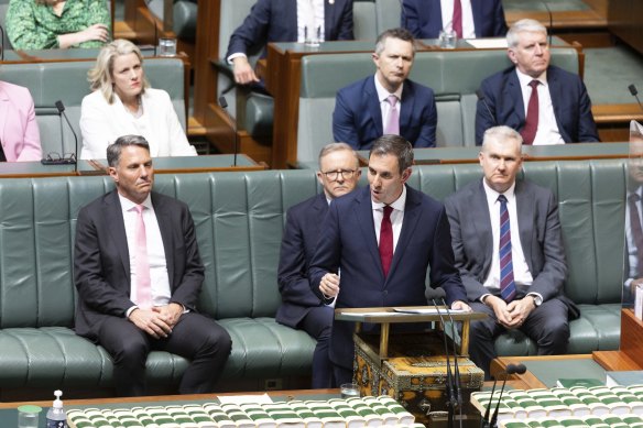 Treasurer Jim Chalmers during the budget speech on Tuesday. 