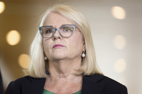 Former Home Affairs Minister Karen Andrews says the risks involved in repatriating Australians from Syria are too high.
