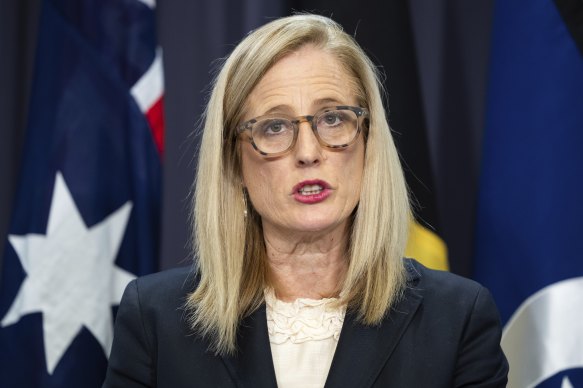 Acting treasurer and Finance Minister Katy Gallagher speaks at Parliament House today.