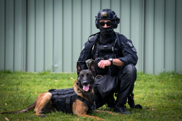 Bronx with his handler.