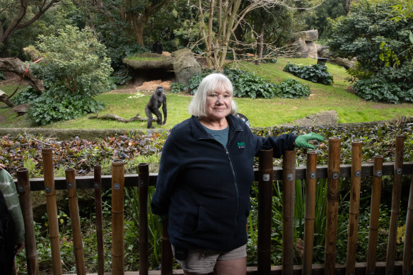Melbourne Zoo Primate keeper Ulli Weiher