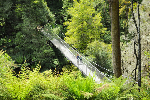 Where is this bridge located?