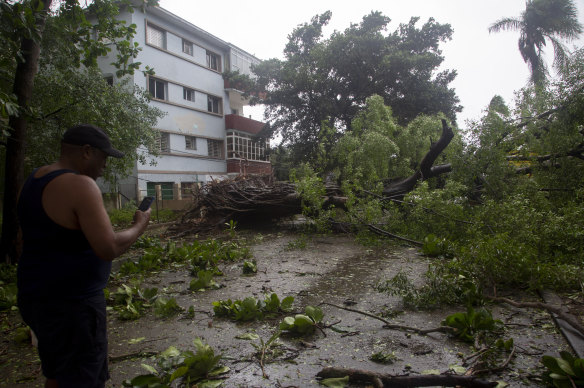 A man checks his mobile phone as he stands next to fallen trees bought down by the winds of Hurricane Ian, in Havana, Cuba.