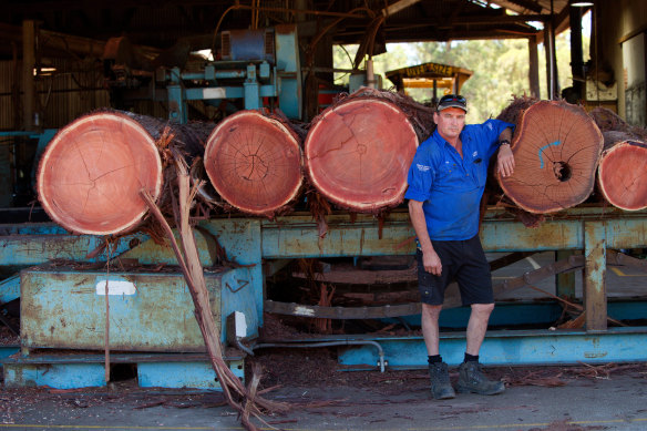 Western Australia is abandoning native timber logging, will NSW do the same?