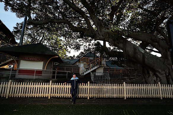 Curator Dylan Johnson stands beside the revered Moreton Bay fig tree, thought to have been planted about 1900.
