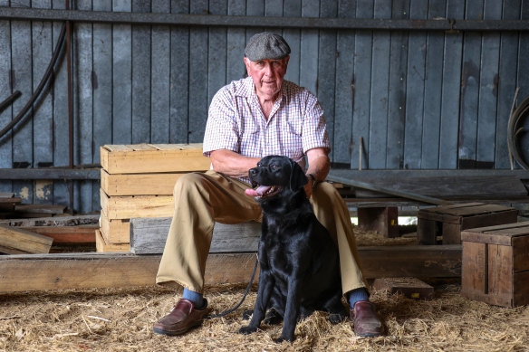 President of the new consumer site, DogsAustralia.org.au and lifelong labrador breeder, Hugh Gent. 