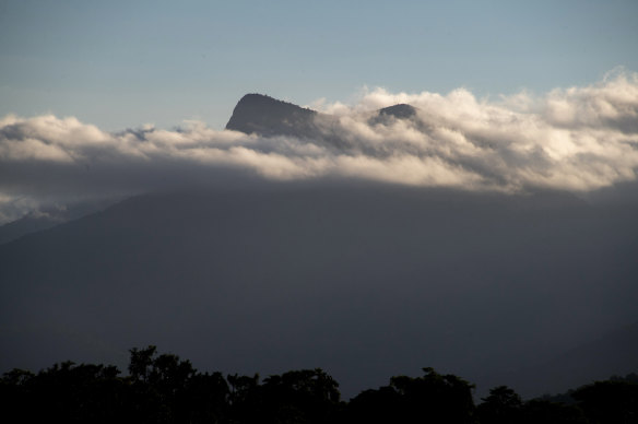 Ancient Gondwanan rainforests in Queensland and NSW, which get as much as 40 per cent of their moisture from being shrouded in clouds, face a drier and hotter future with climate change.