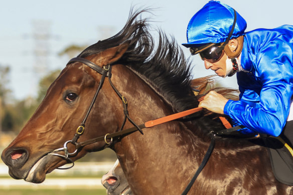 Jockey James McDonald and Anamoe take out the Run To The Rose.