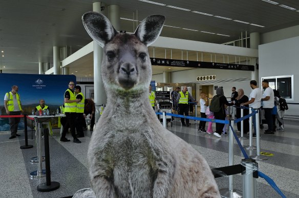 The cardboard kangaroo greeting Australians arriving at Beirut airport to board evacuation flights.