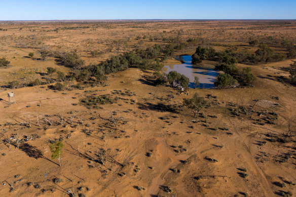 One of the 'tanks' or dams on the Narriearra property, with mulga and coolibah trees nearby.