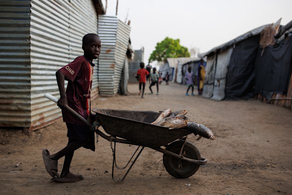 A young boy pushes fish through an Internally Displaced Persons (IDP) camp using a wheelbarrow in Bentiu, South Sudan. Climate change has divided South Sudan into land that is experiencing unprecedented flooding or drought.