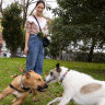 Pet project or peeve? Council approves Carlton off-leash dog park