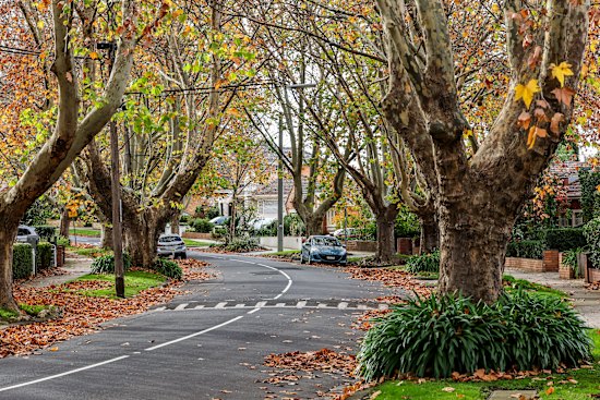 Mooltan St, Travancore.