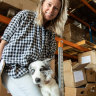 Puppies! At work? Wishful thinking or the future of office life