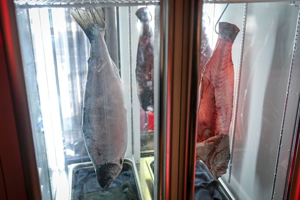 Sachi’s hanging, dry-ageing fish caught restaurant critic Besha Rodell’s eye.