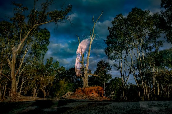 Yoorrook Justice Commission
Uncle Henry Atkinson (Wollithiga clan) on country at Moira Lakes Barmah Forrest. He made a powerful submission to the Yoorrook Commission on the effects of colonisation on his family and people.