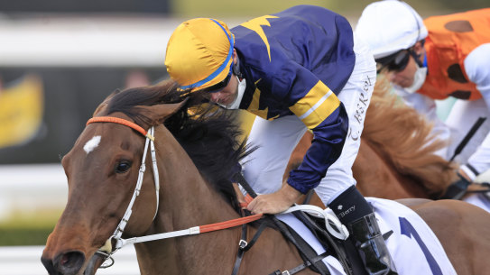 Masked Crusader will look to go one better in The Everest than last year as he lines at Randwick on Saturday. 