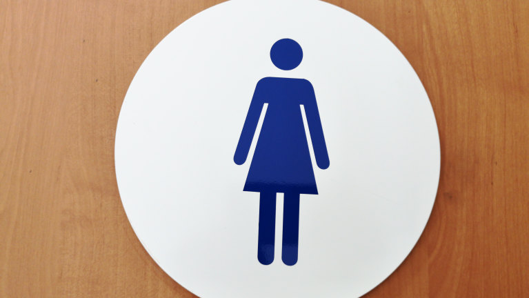 Why women face longer toilet queues – and how we can achieve 'potty parity', Women