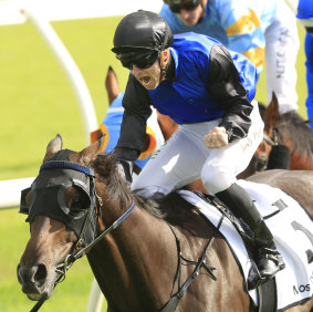 Josh Parr roars as Shadow Hero takes out the Randwick Guineas.